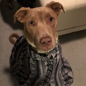 Meet your Posher, Jacob